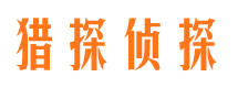 城区市侦探